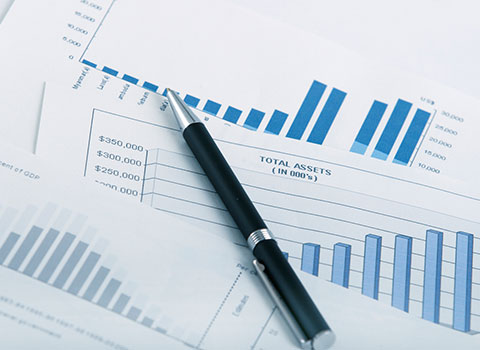 Financial Reports Review and Relevant Advice